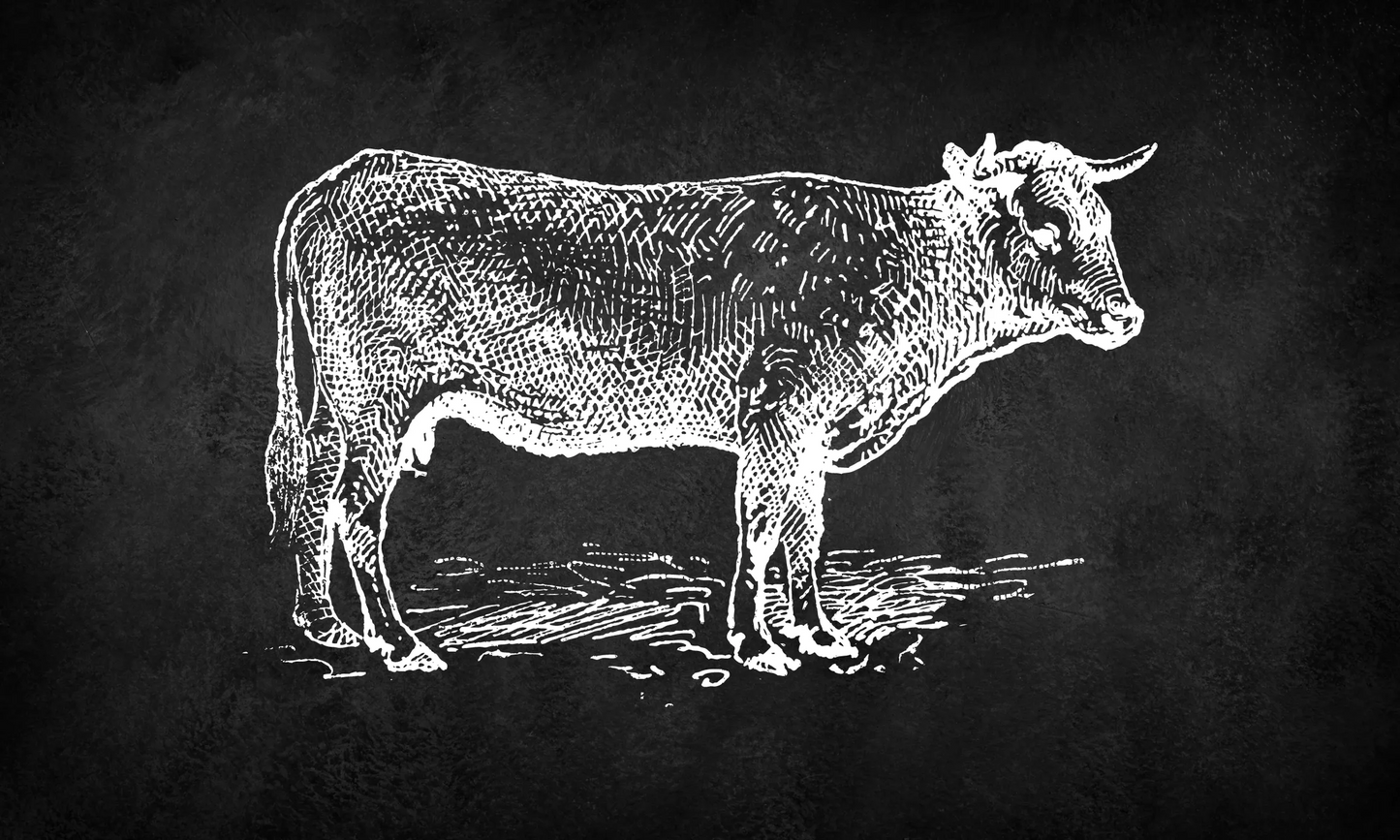 Raw Dog Food - Beef (20lbs) - Radowg