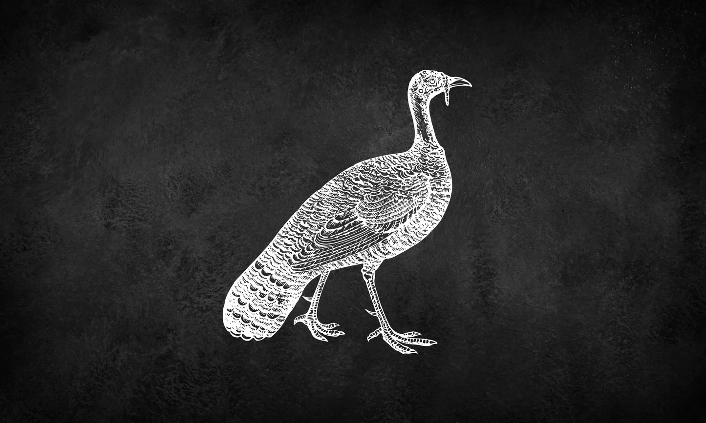 Raw Dog Food - Turkey (20lbs) - Radowg