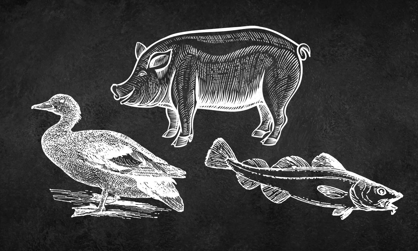 Raw Dog Food - Hypoallergenic Mix - Radowg