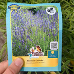 Load image into Gallery viewer, Lavender - 1 Gallon

