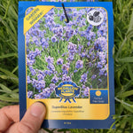 Load image into Gallery viewer, Lavender - 1 Gallon
