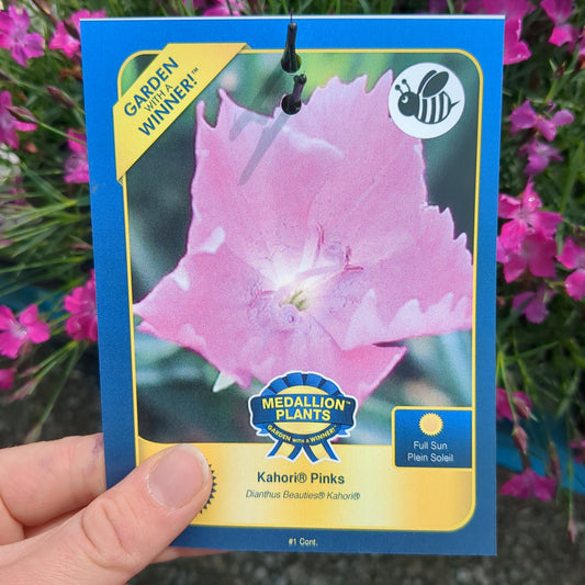 Kahori Pinks