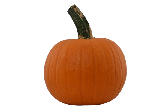 Orange Pie Pumpkins