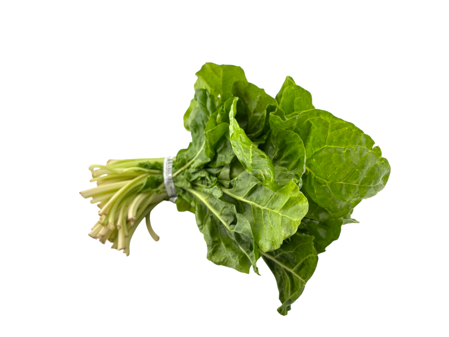 Green Swiss Chard - Local