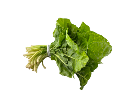 Green Swiss Chard - Local