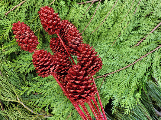 Regular Pine Cones -Red glitter