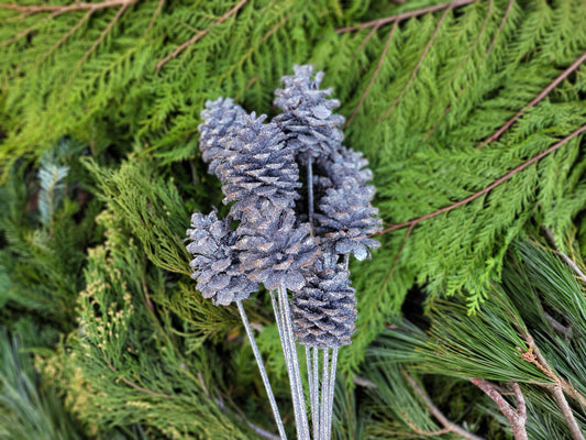 Regular Pine Cones - Silver glitter