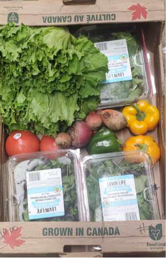 Discount Produce Box #3