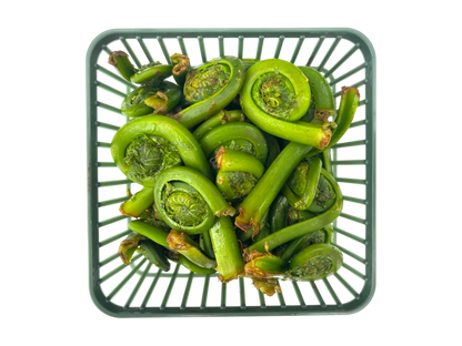 1 Quart Fiddleheads