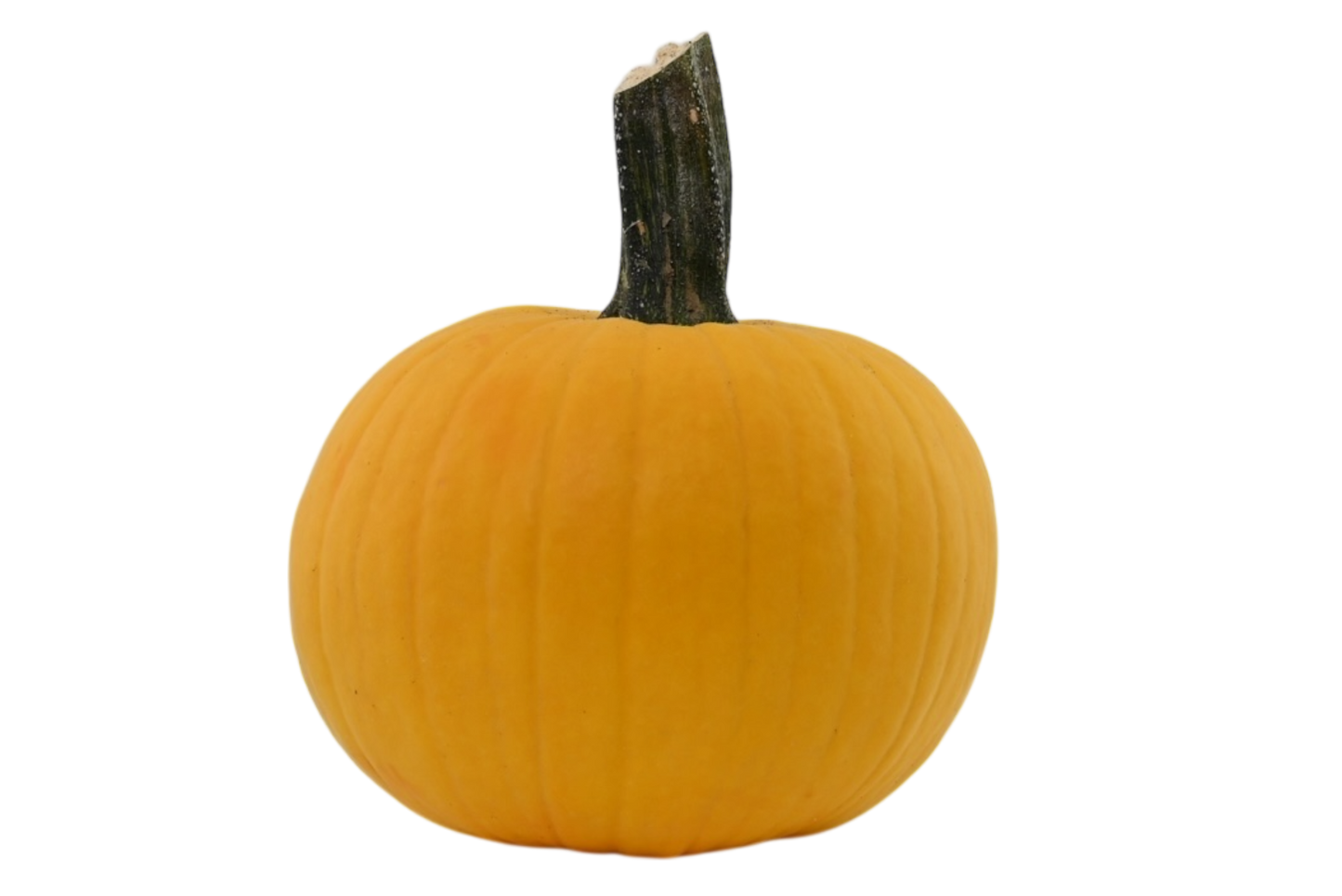 Yellow Pumpkins
