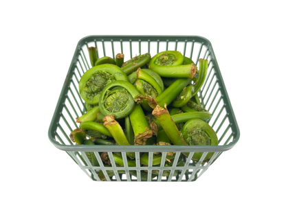 1 Quart Fiddleheads