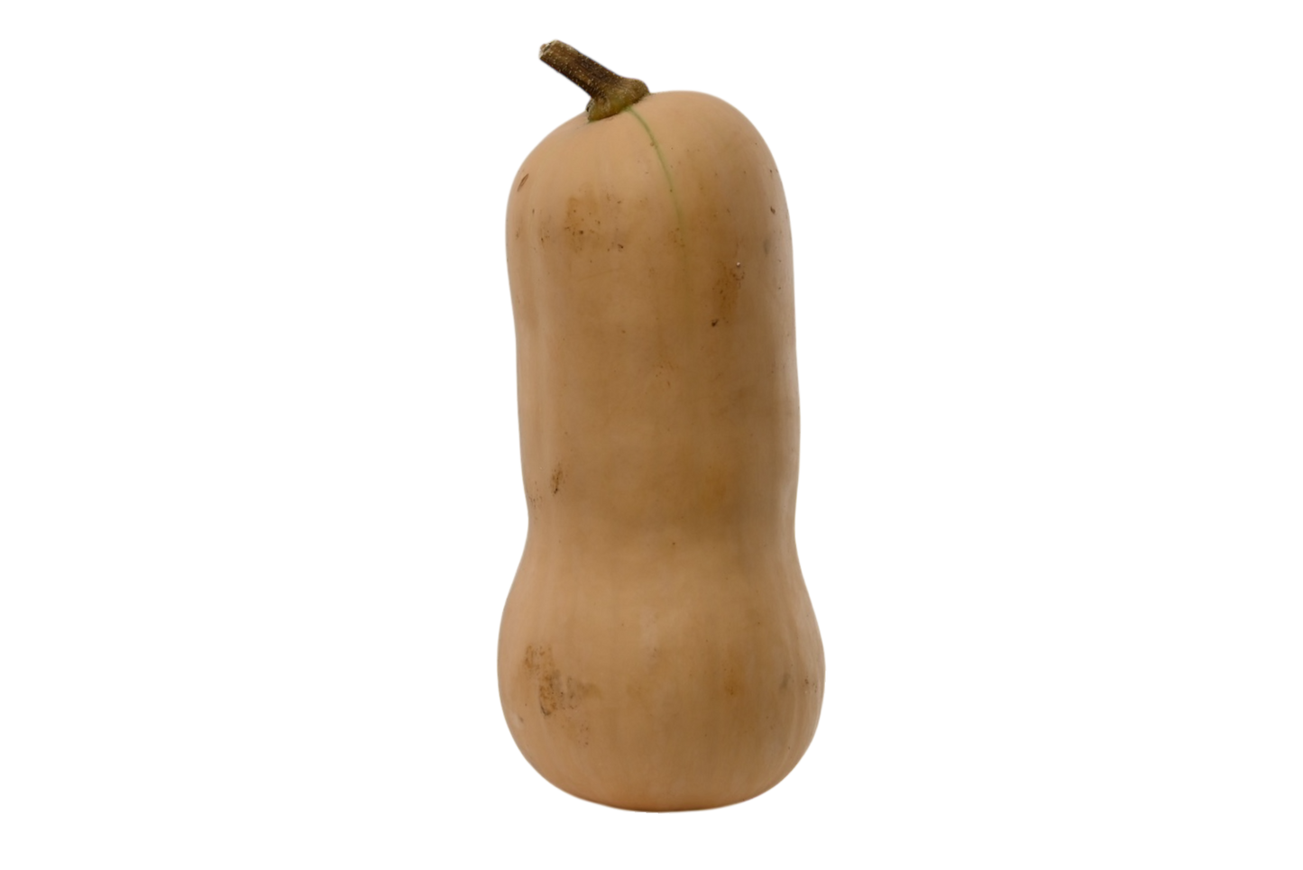 Local Butternut Squash