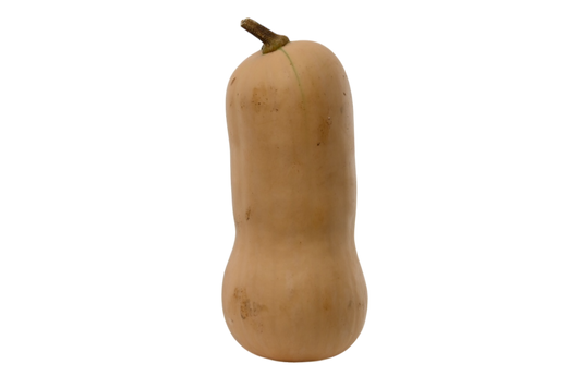 Local Butternut Squash