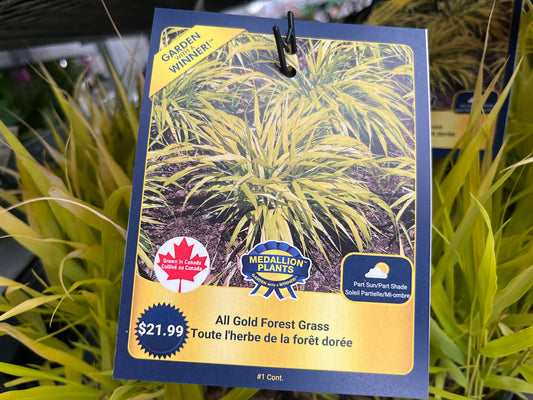All Gold Forest Grass