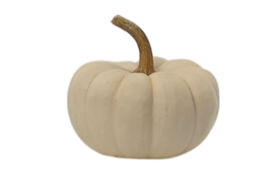 Mini White Pumpkins