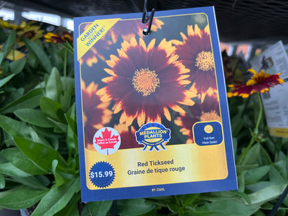 Red Tickseed
