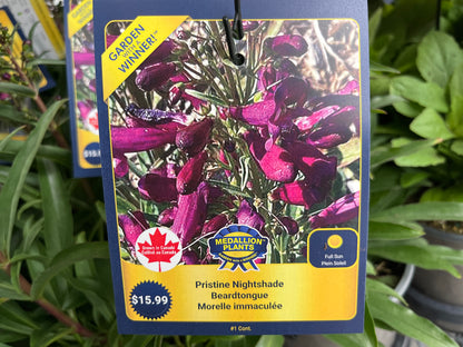 Pristine nightshade