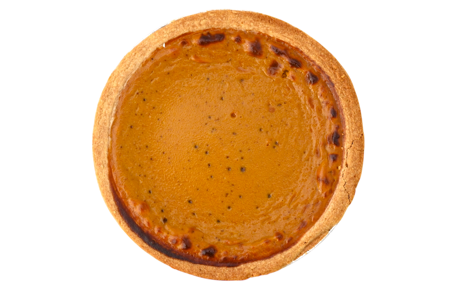 Homemade Pumpkin Pie
