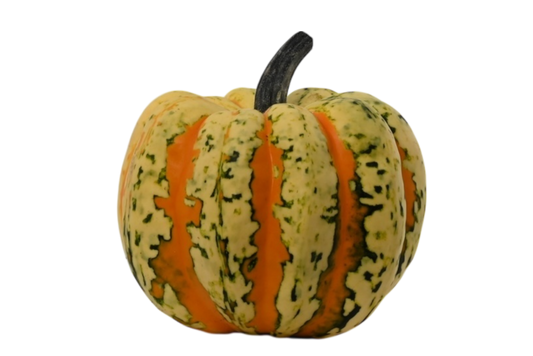 Local Confetti Squash