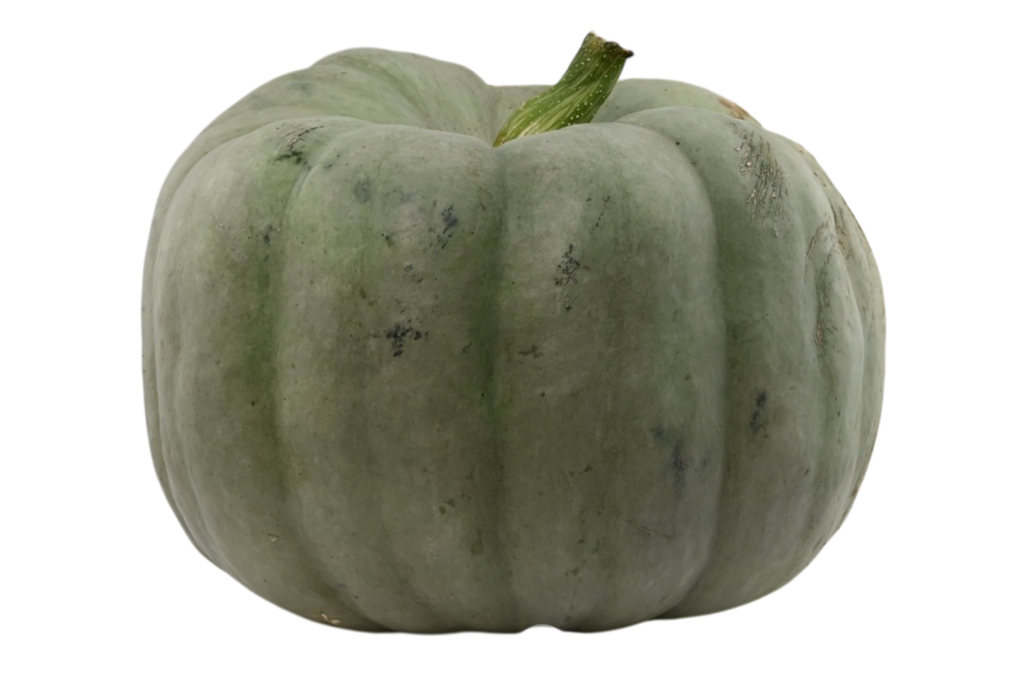 Grey Pumpkins