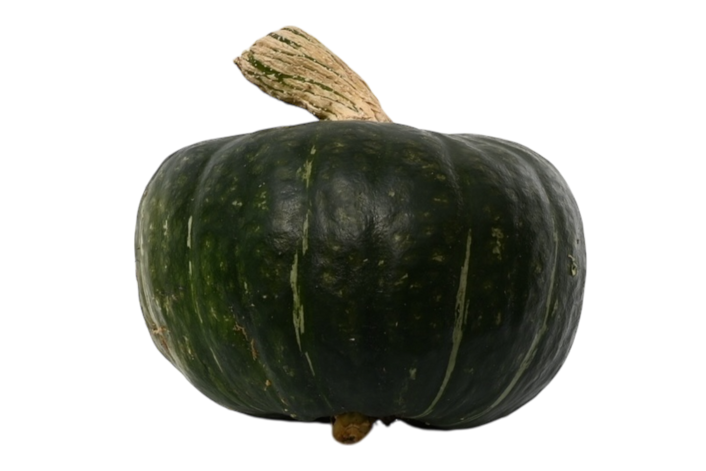 Local Buttercup Squash