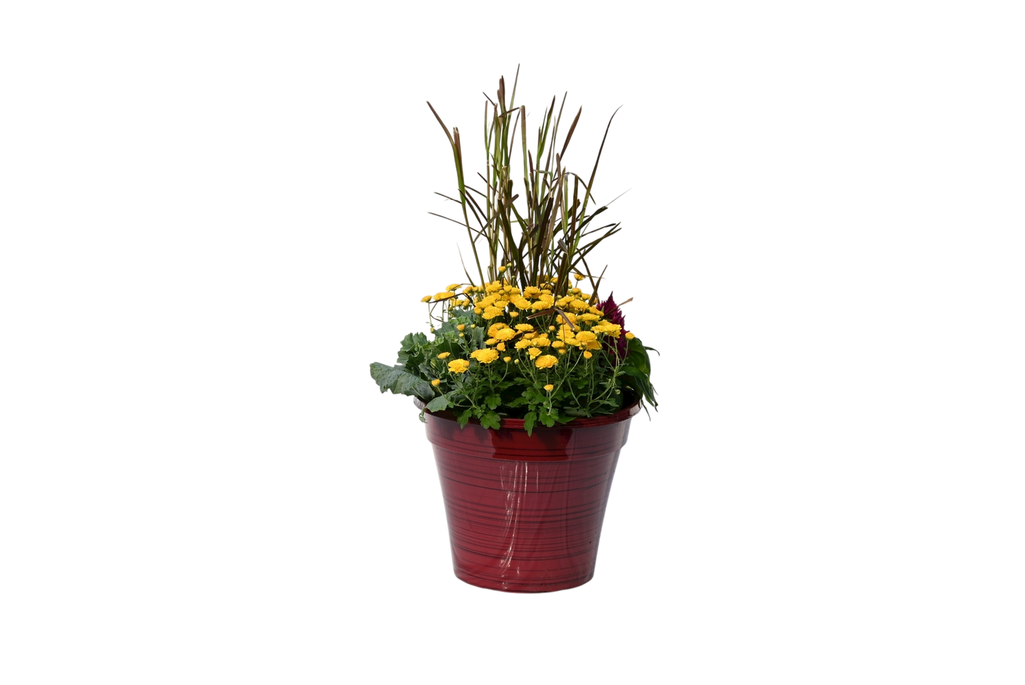 Fall Planter