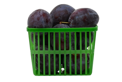 Blue Plums - Local