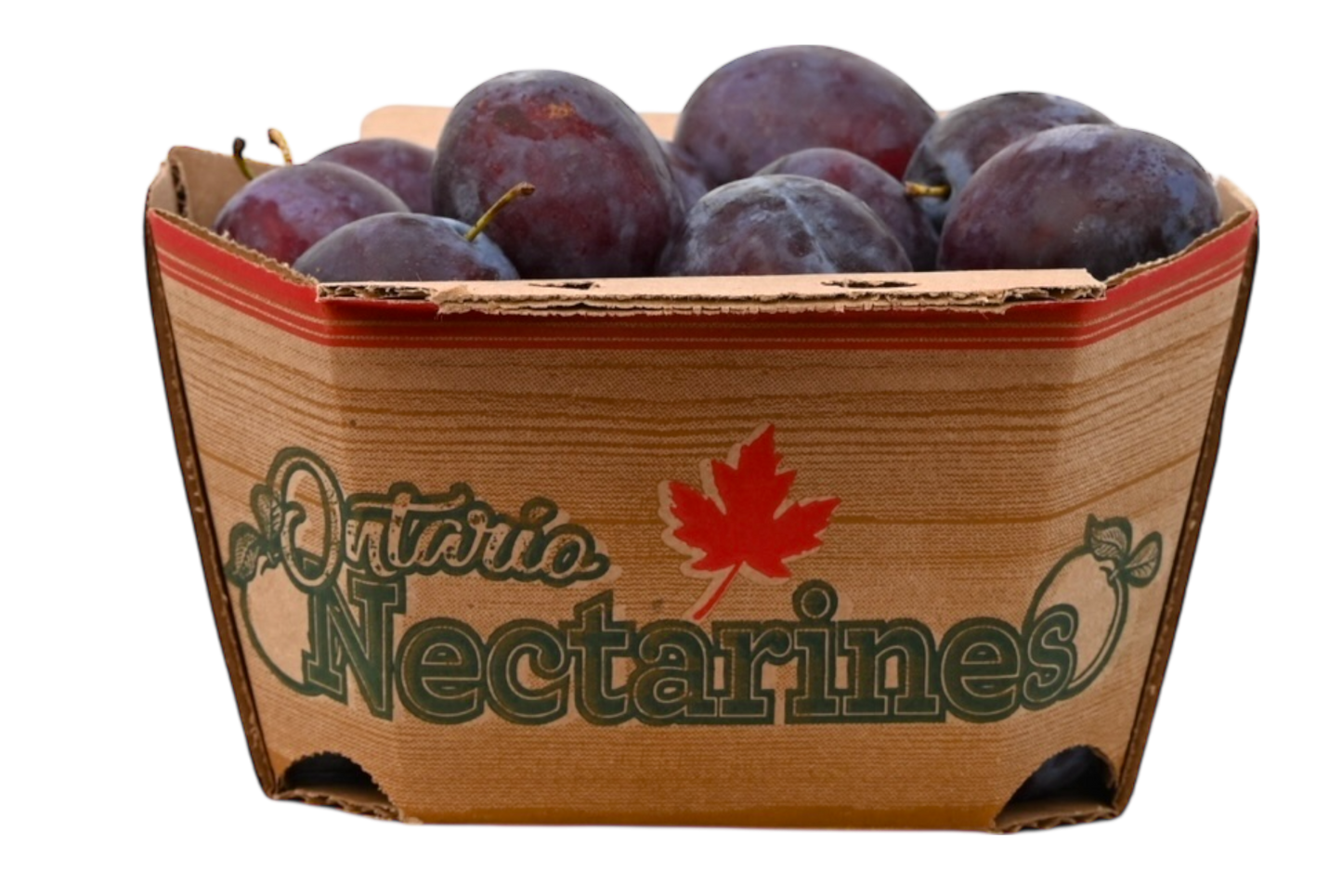 Blue Plums - Local