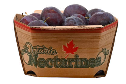 Blue Plums - Local