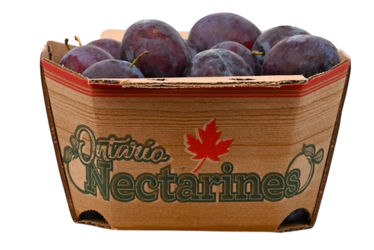 Blue Plums - Local
