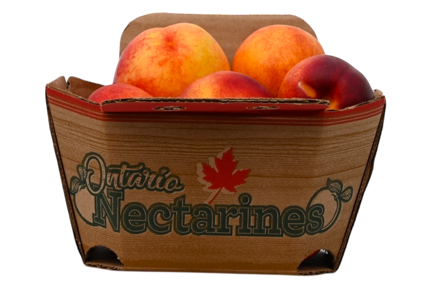 Nectarines - Local