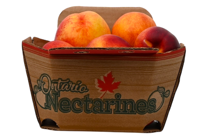 Nectarines - Local