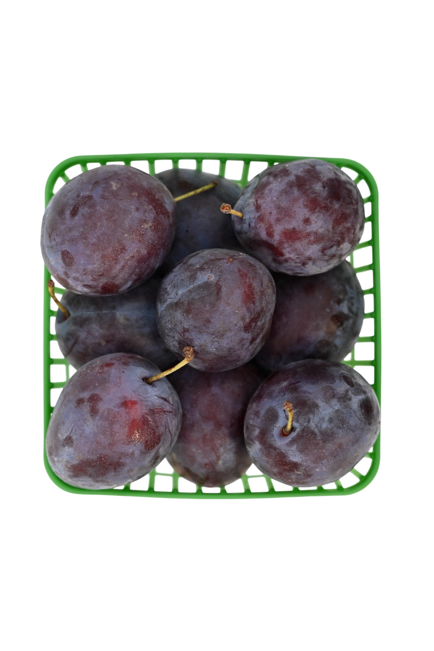 Blue Plums - Local