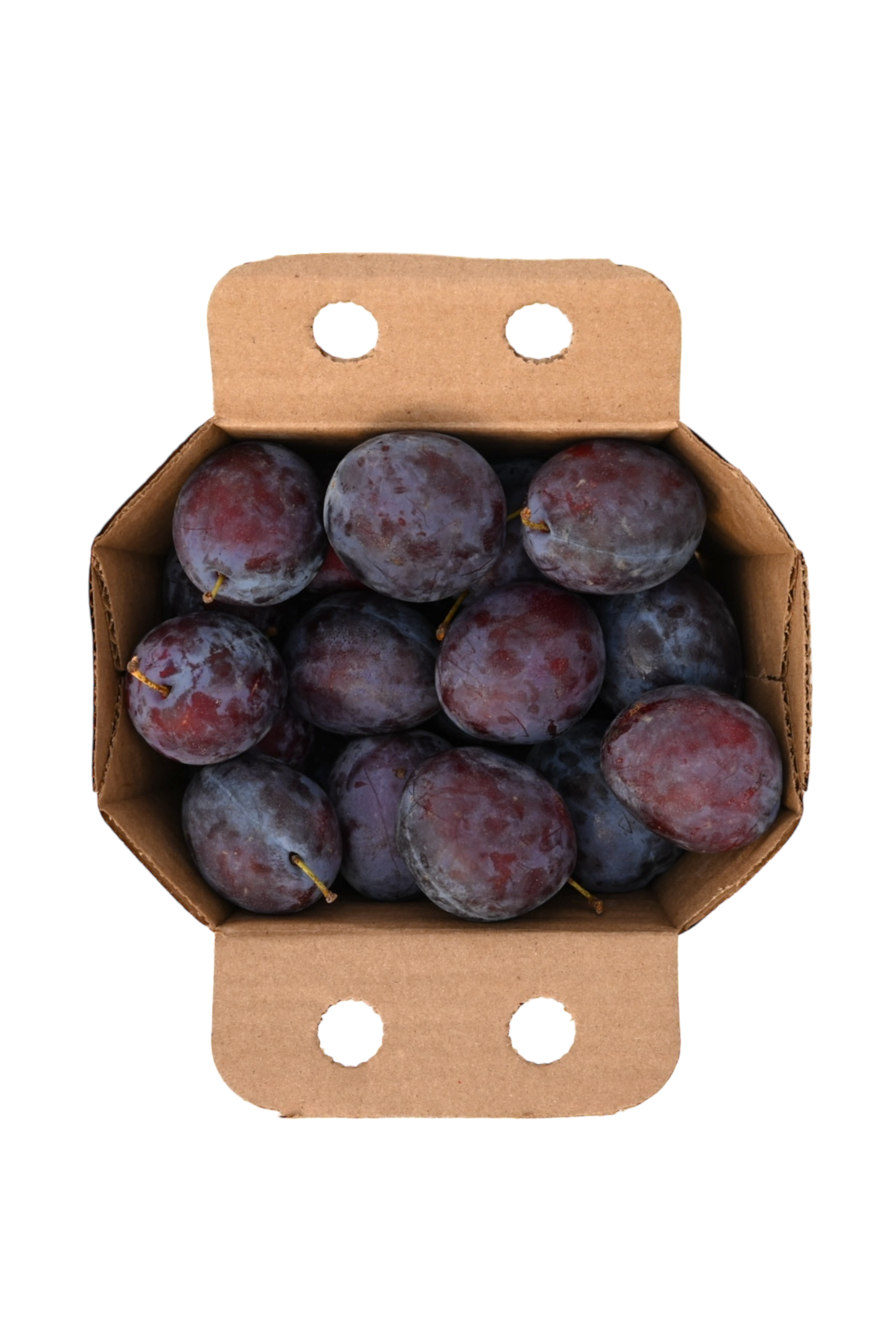 Blue Plums - Local