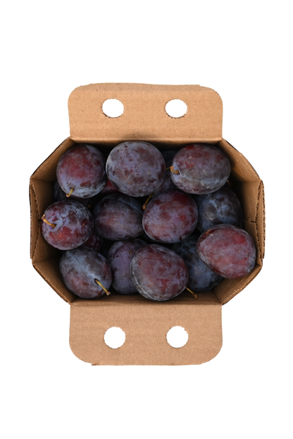 Blue Plums - Local