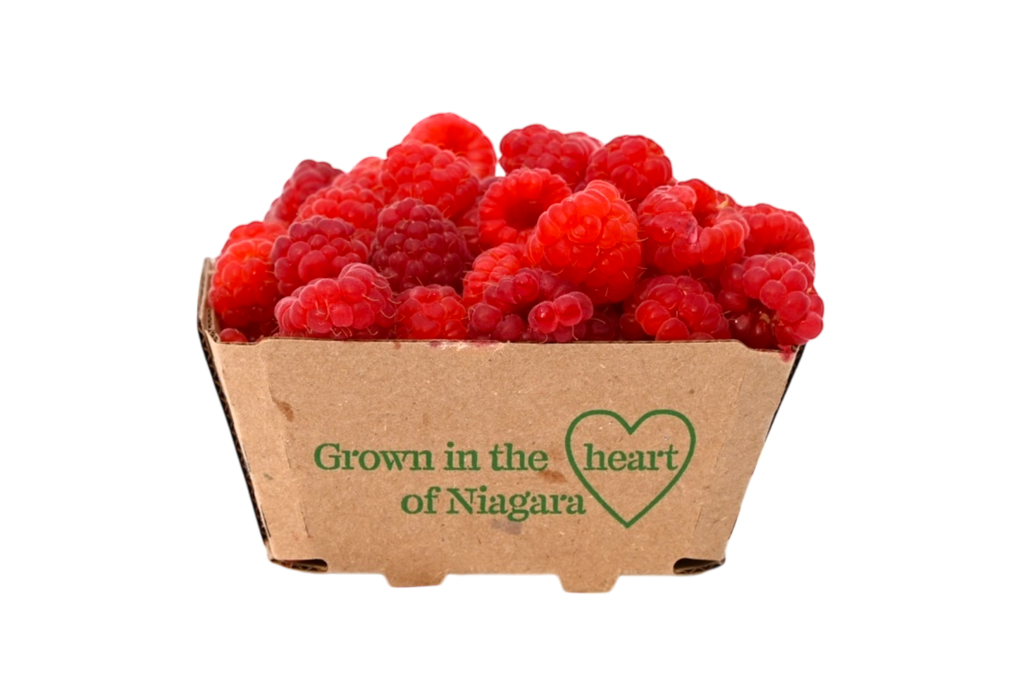 Local Raspberries