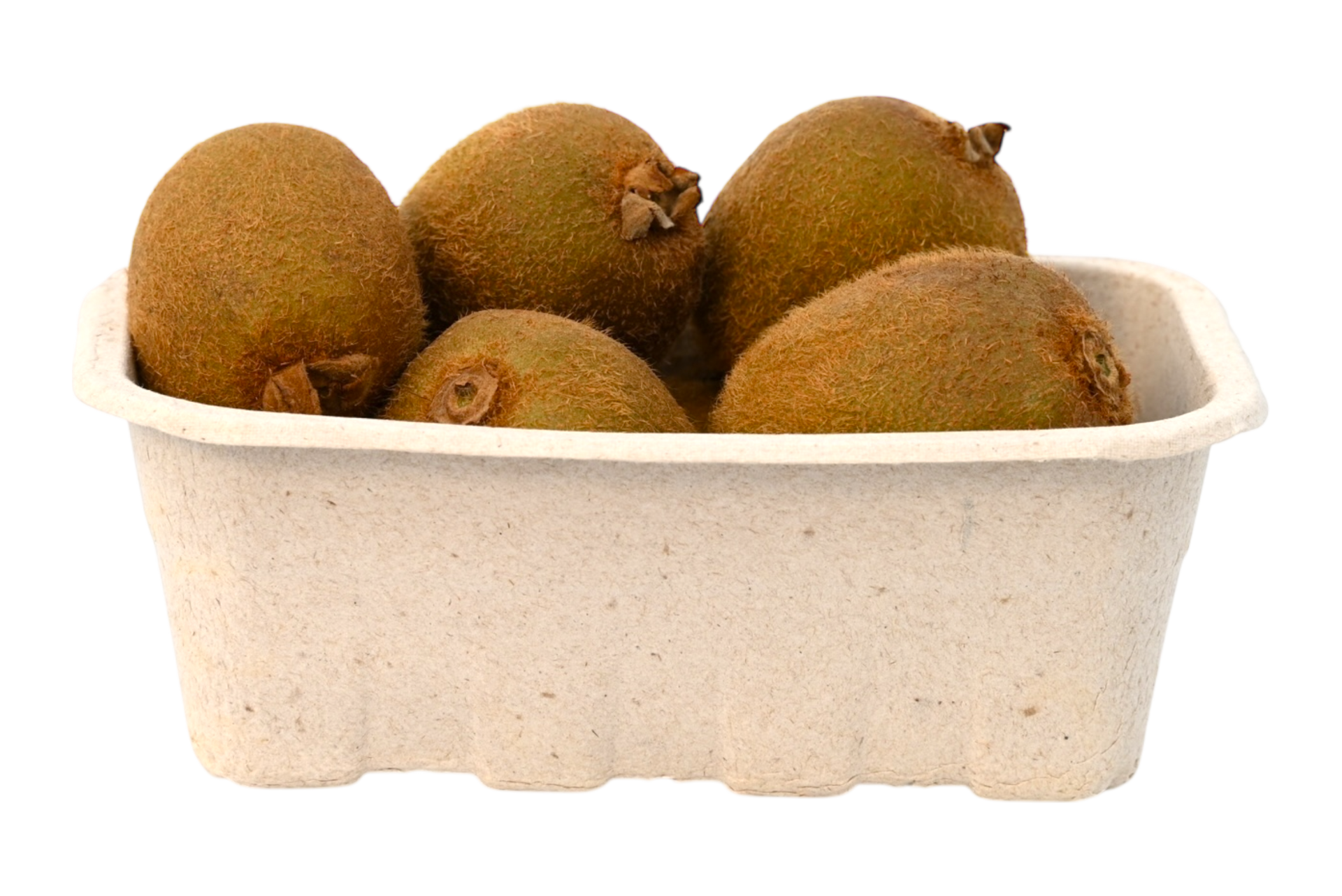 Kiwi Green Kiwis - 1 x 1.37 Kilos Shipped to Nunavut – The Northern Shopper