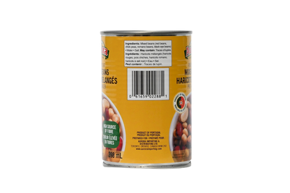 Aurora Canned Mixed Beans - 398ml