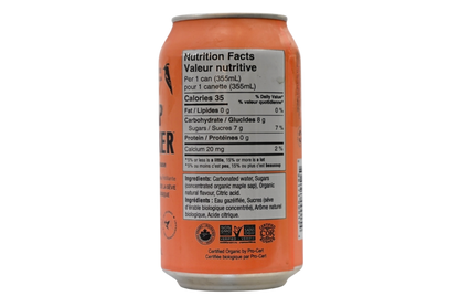 The Peach One - Sap Sucker Sparkling Water