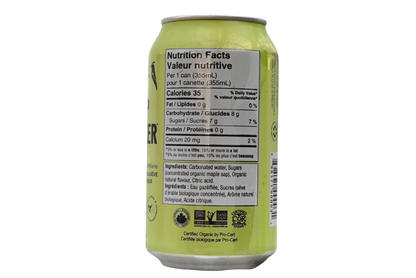 The Lime One - Sap Sucker Sparkling Water