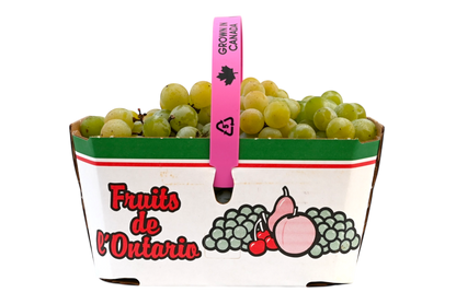 Local Grapes