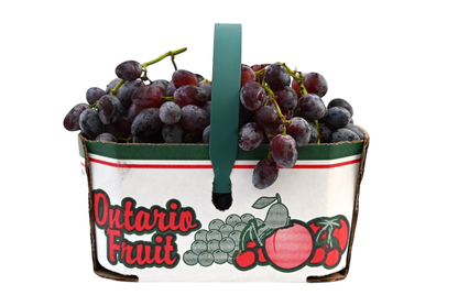 Local Grapes
