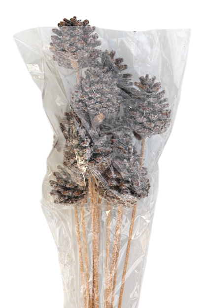 Regular Pine Cones - Snow