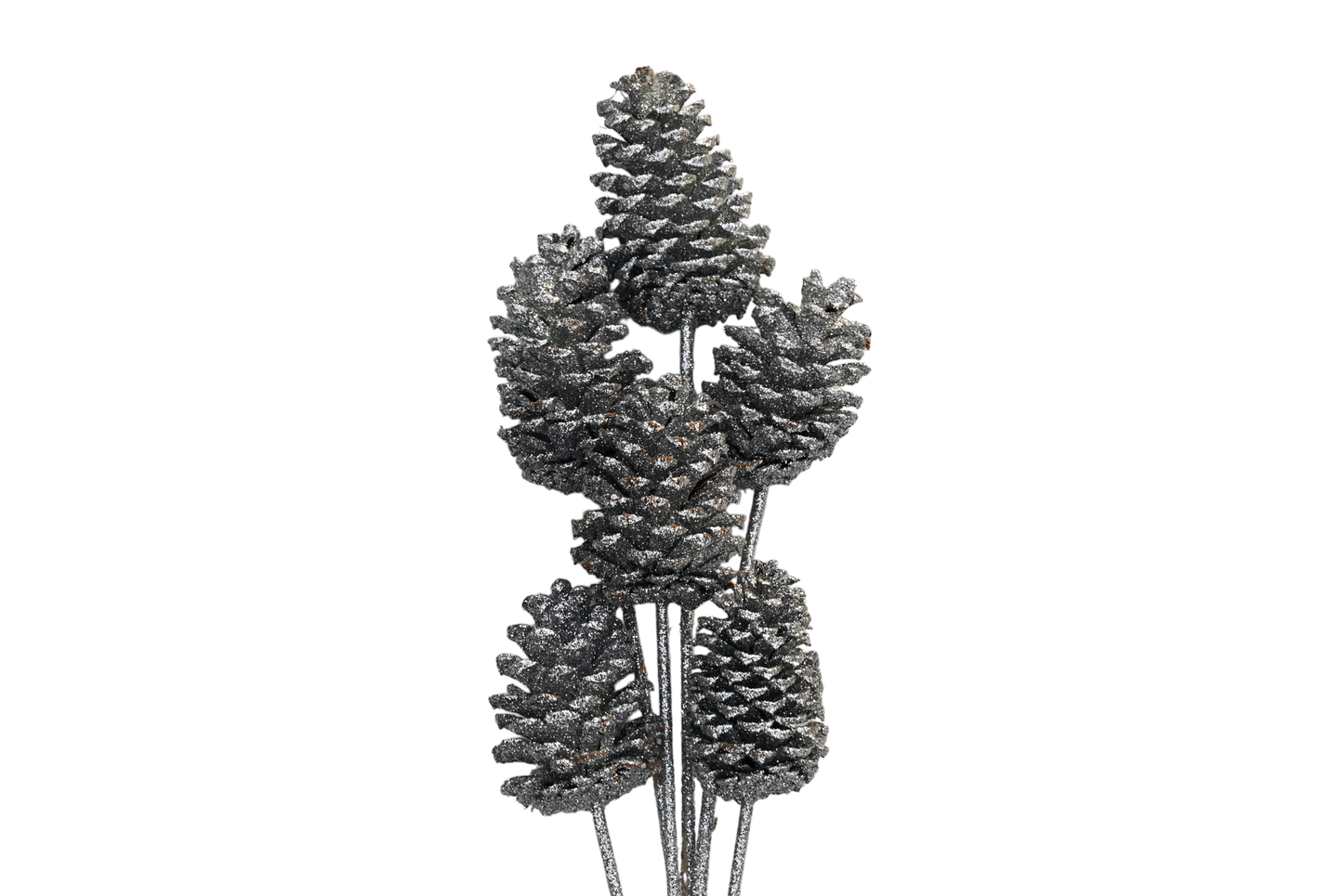 Large Pine Cones - Silver glitter