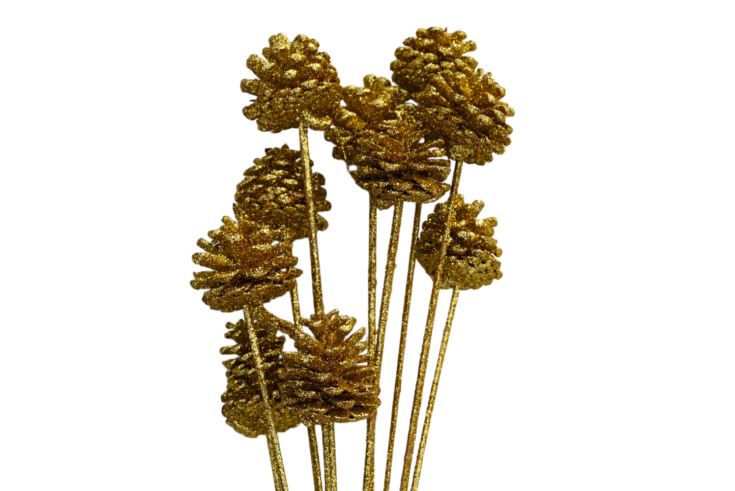 Regular Pine Cones -Gold Glitter