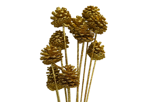 Regular Pine Cones -Gold Glitter