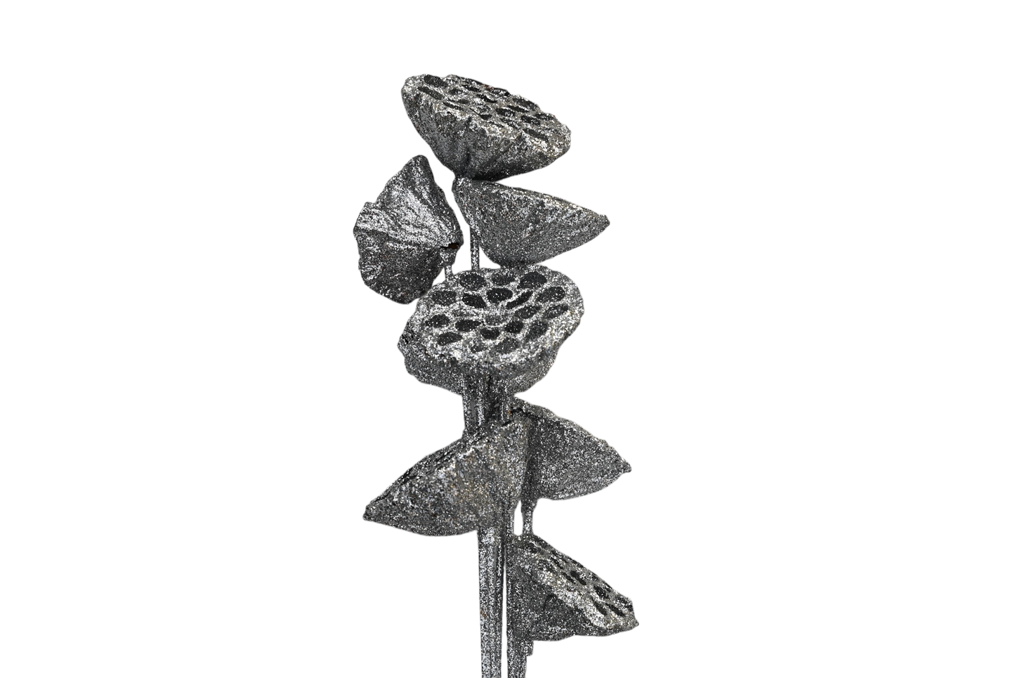 Large Lotus Pods - Silver glitter