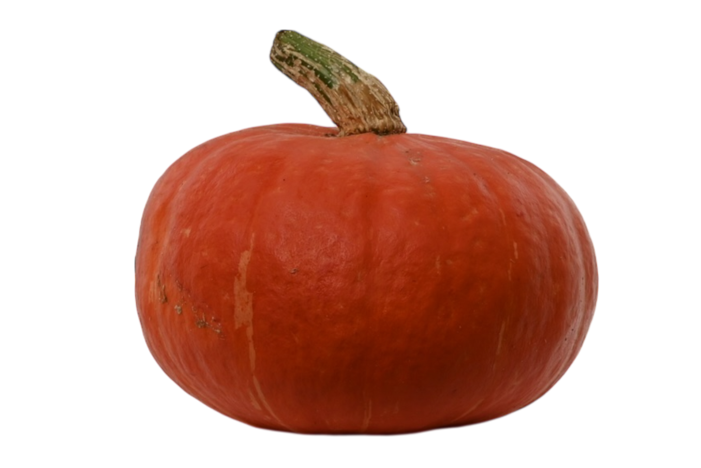 Local Red Buttercup Squash
