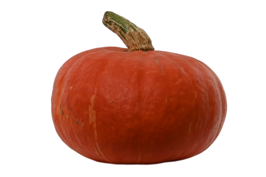 Local Red Buttercup Squash