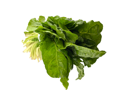 Green Swiss Chard - Local